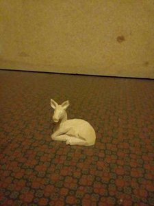 IMG_20160214_05393633.jpg