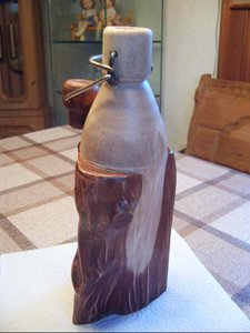 SV500008.JPG