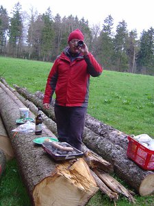 Holz Auktion Pause im Abseits