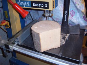 der rohe Holzstamm , seitlich <br />abgeschlagen mit der Axt