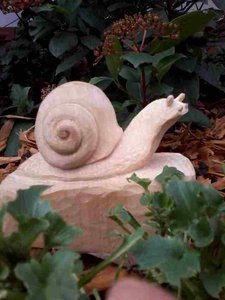 Schnecke im Garten2.jpg