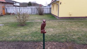 20170223_091851.jpg