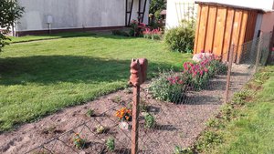 20160725_084502.jpg