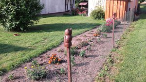20160725_084453.jpg