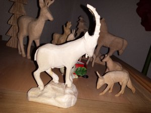 20150205_072629.jpg