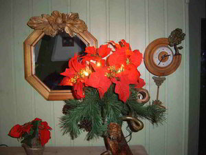 SV500115.JPG