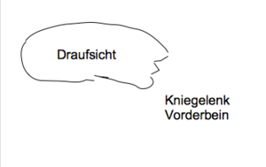 Bildschirmfoto 2016-01-09 um 19.33.39.png