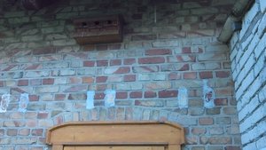 IMAG0089.jpg (97.67 KiB) 5782 mal betrachtet IMAG0089.jpg